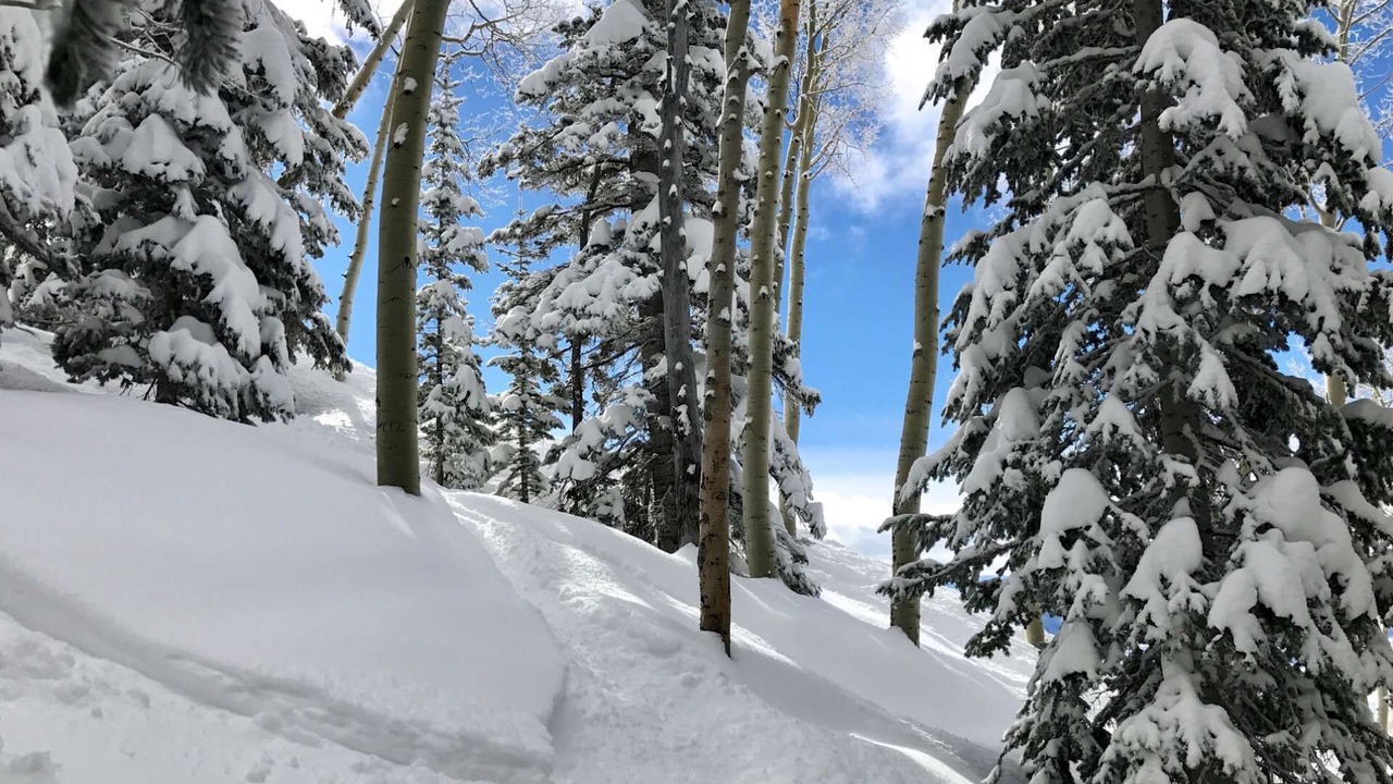 Photo of Others in Steamboat Springs
