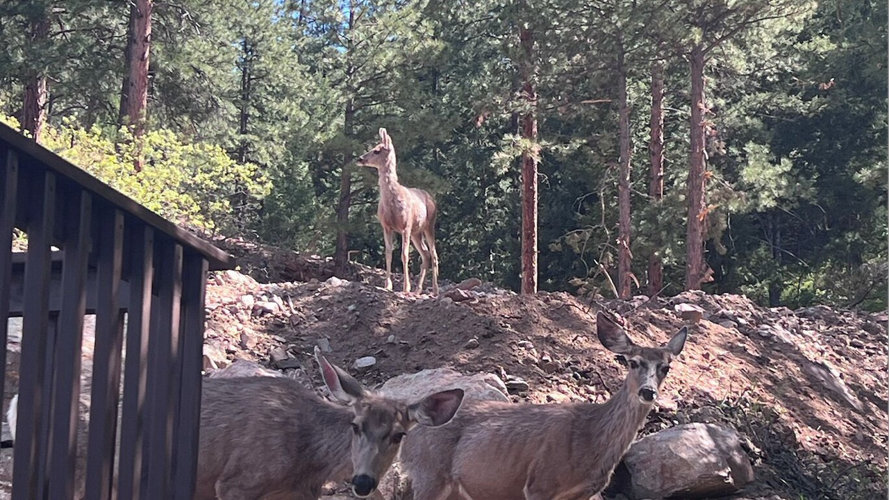 Photo of Outdoor in Littleton