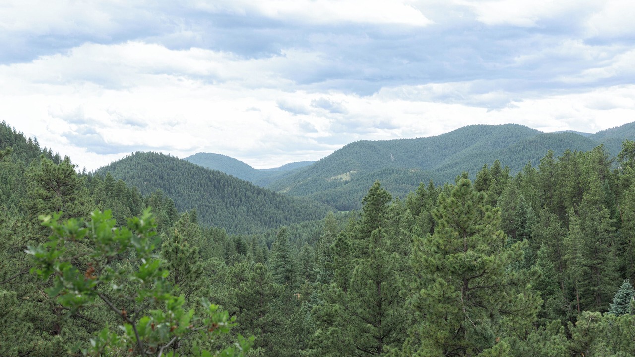 Photo of Outdoor in Littleton
