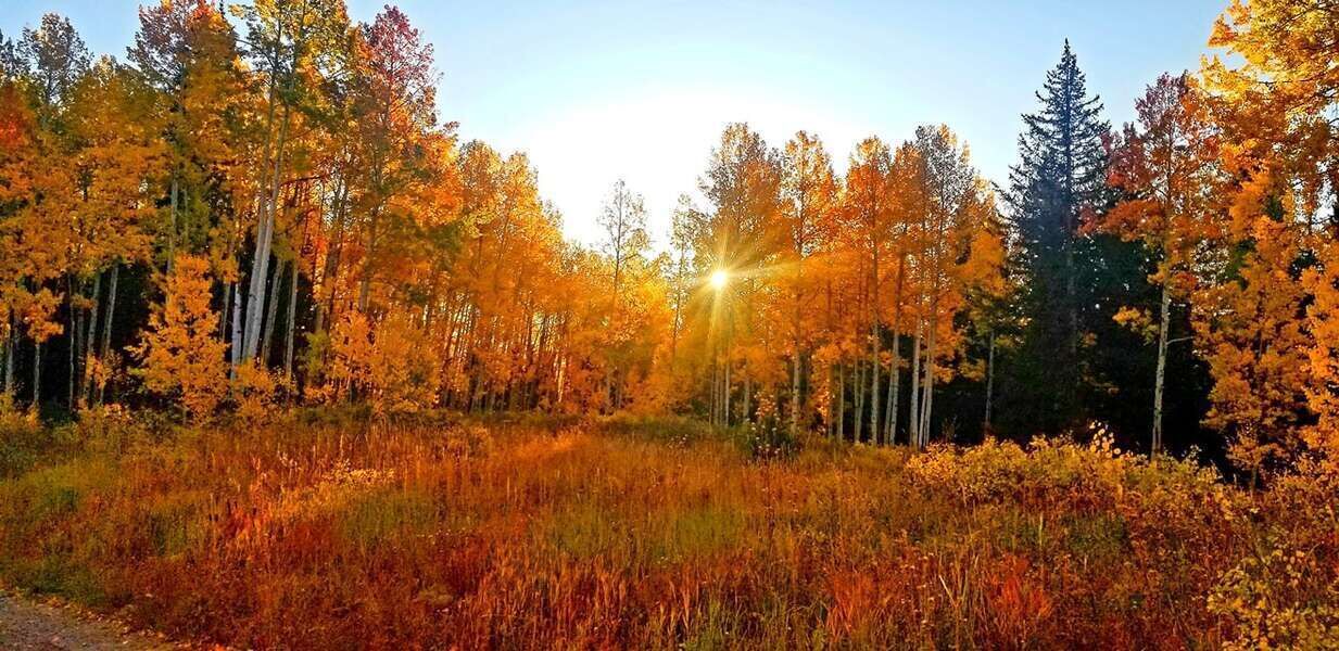 Photo of Outdoor in Paonia