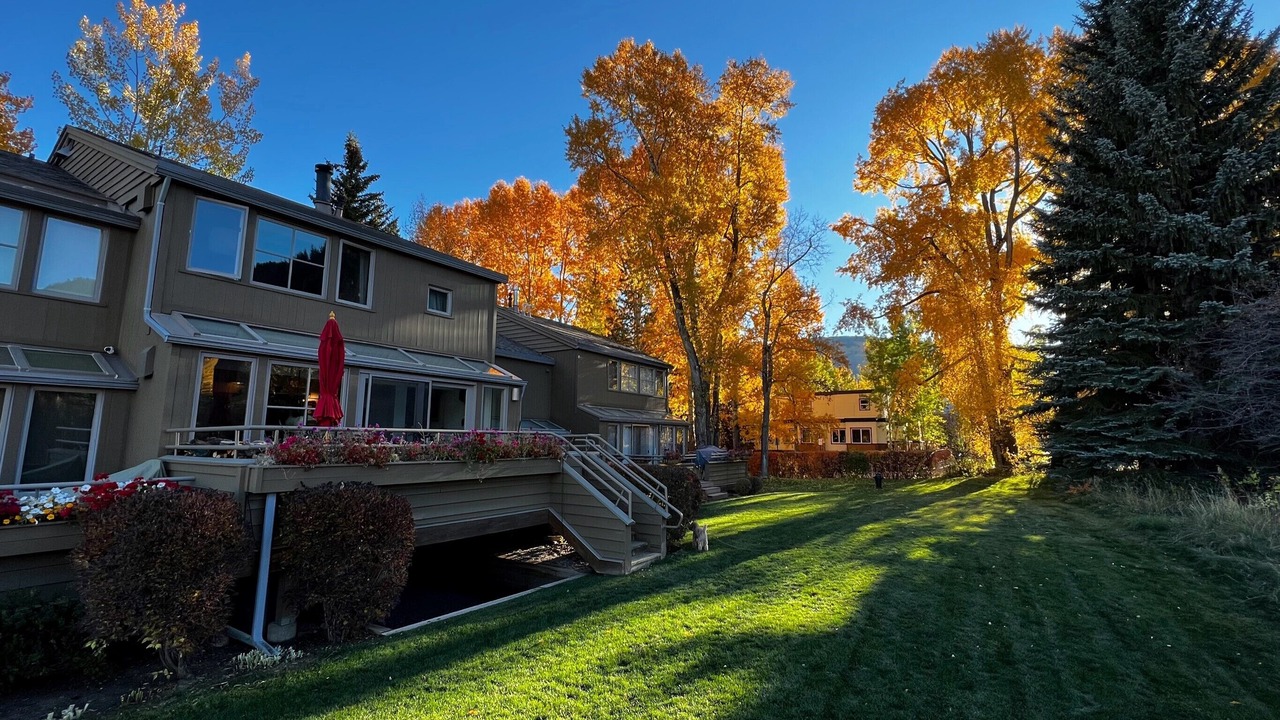 Photo of Outdoor in West End