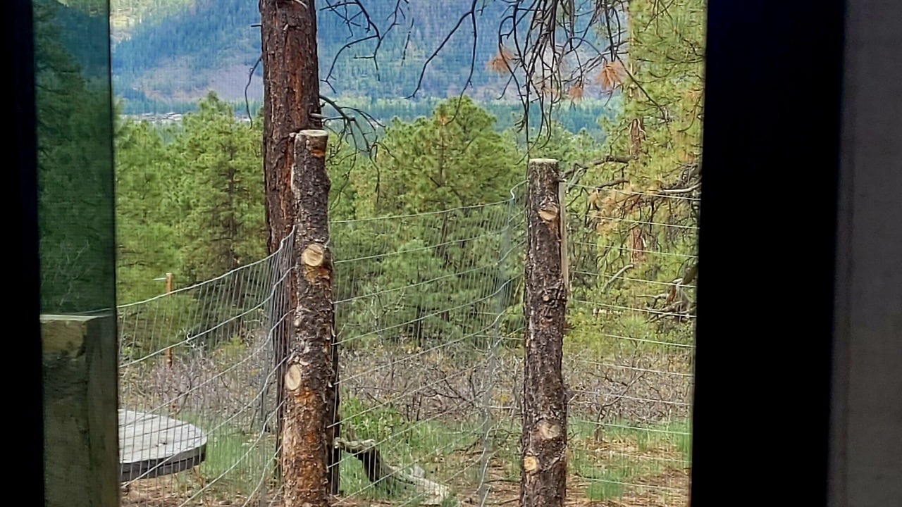 Photo of Others in Durango - Purgatory