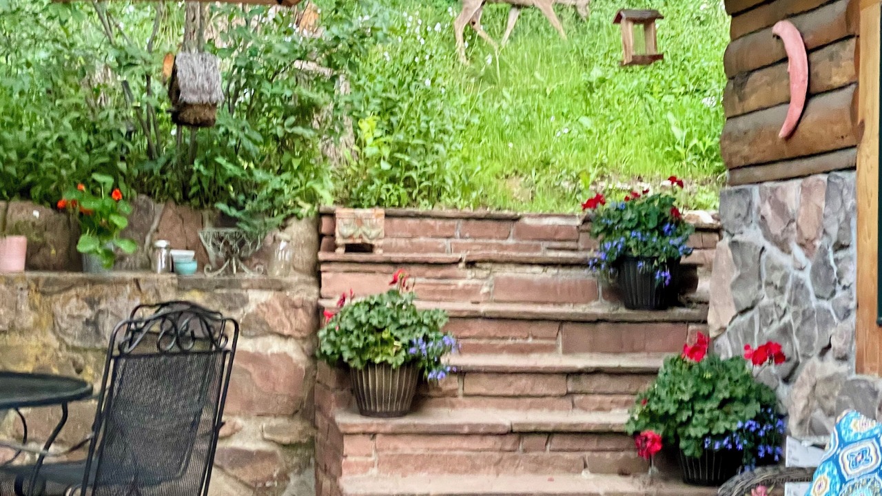 Photo of Outdoor in Indian Hills