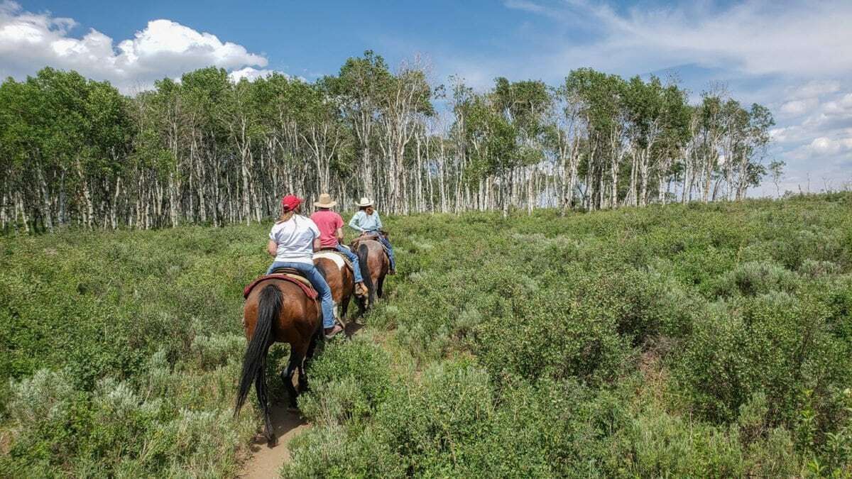 Photo of Others in Steamboat Springs