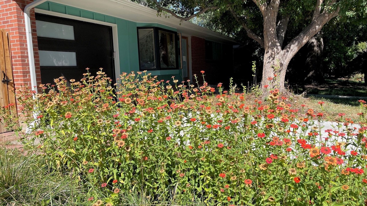 Photo of Outdoor in Highland Park
