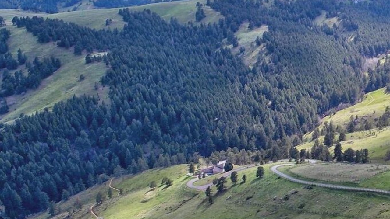 Photo of Outdoor in Golden