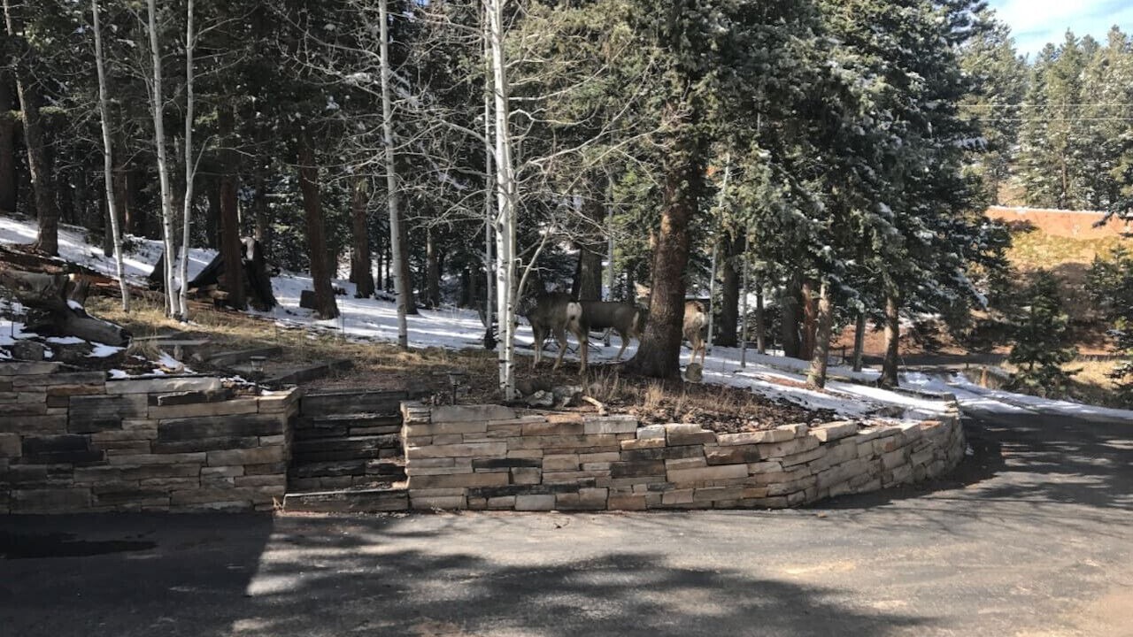 Photo of Outdoor in Woodland Park