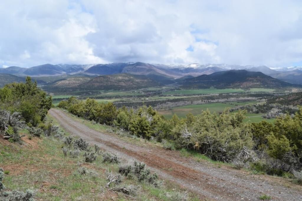 Photo of Others in Collbran