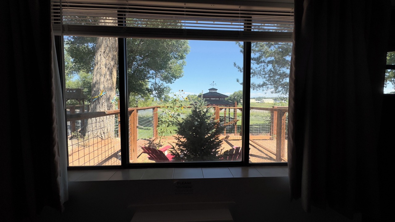 Photo of Patio Balcony in Delta