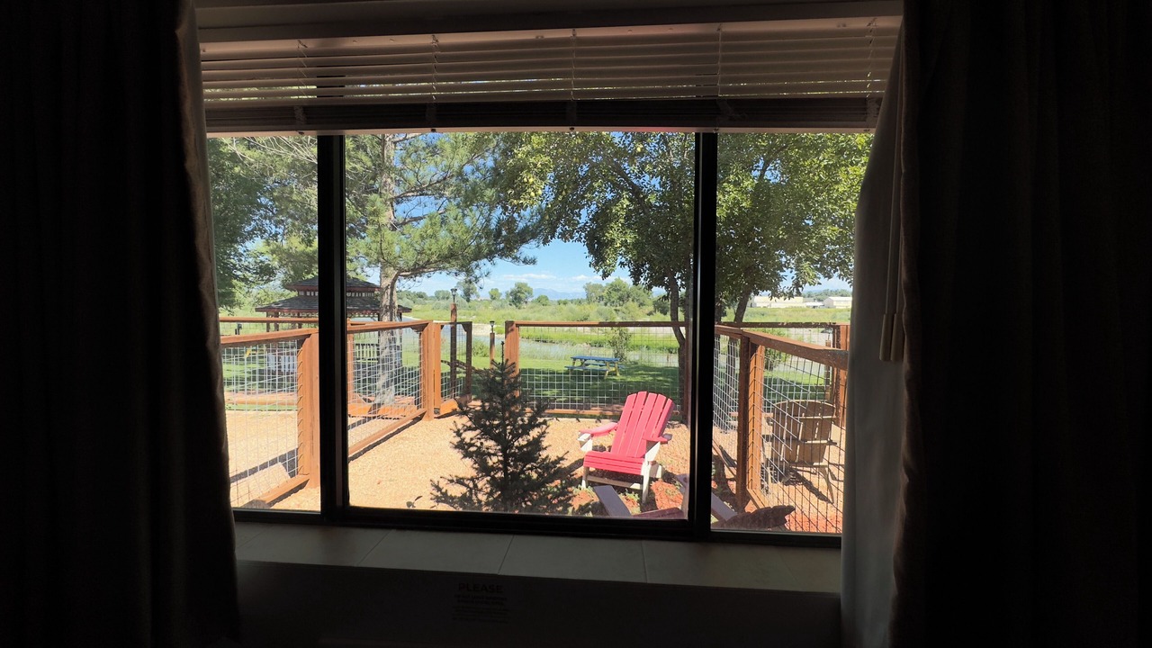 Photo of Patio Balcony in Delta