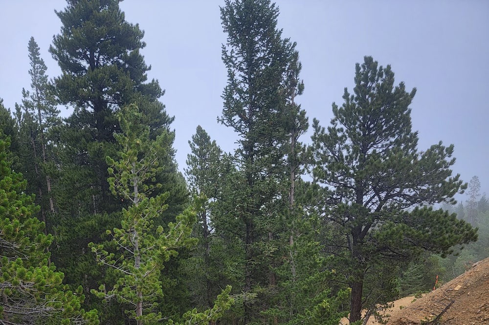 Photo of Outdoor in Black Hawk