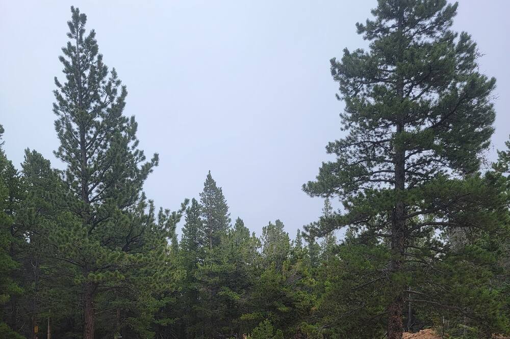 Photo of Outdoor in Black Hawk