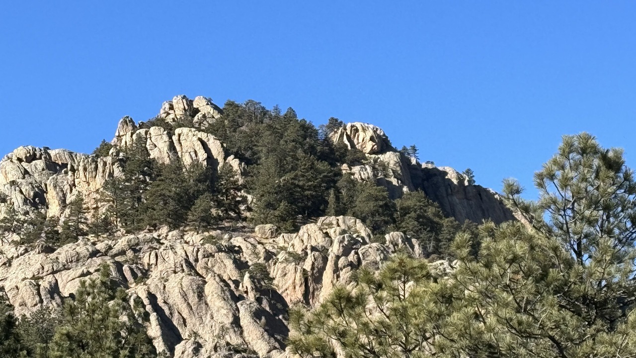 Photo of Others in Fort Collins