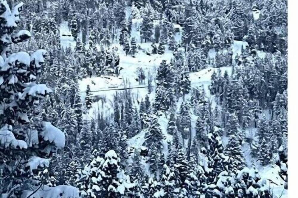 Photo of Others in Coal Creek