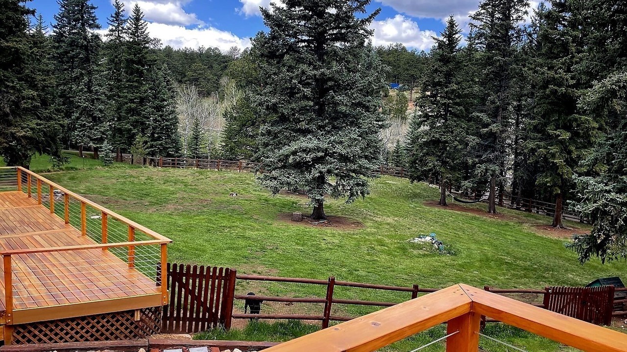 Photo of Outdoor in Pine