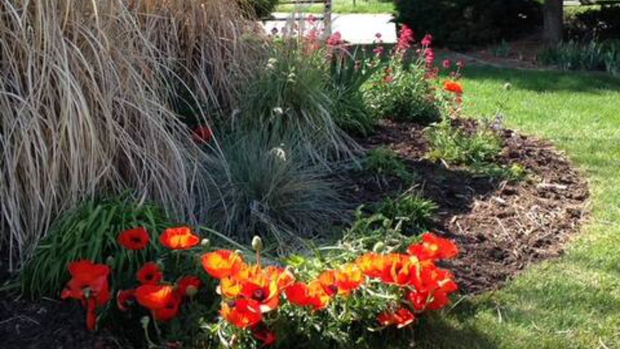 Photo of Outdoor in Ruby Hill