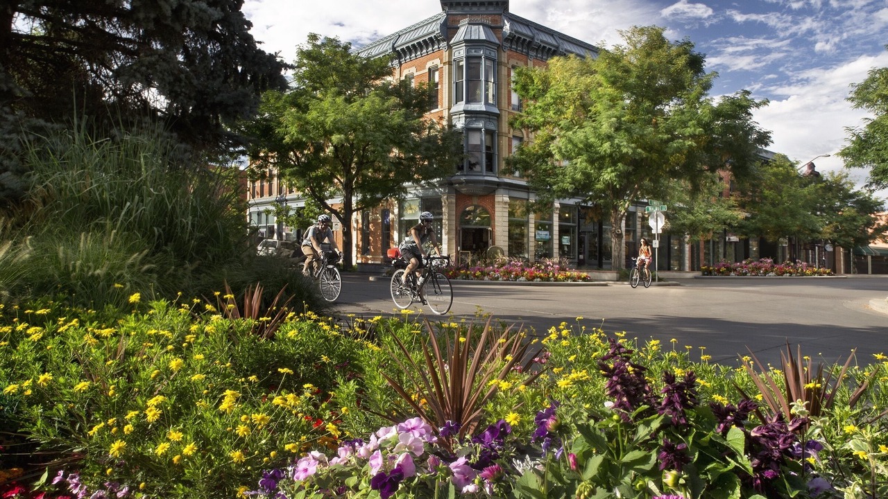 Photo of Outdoor in University North