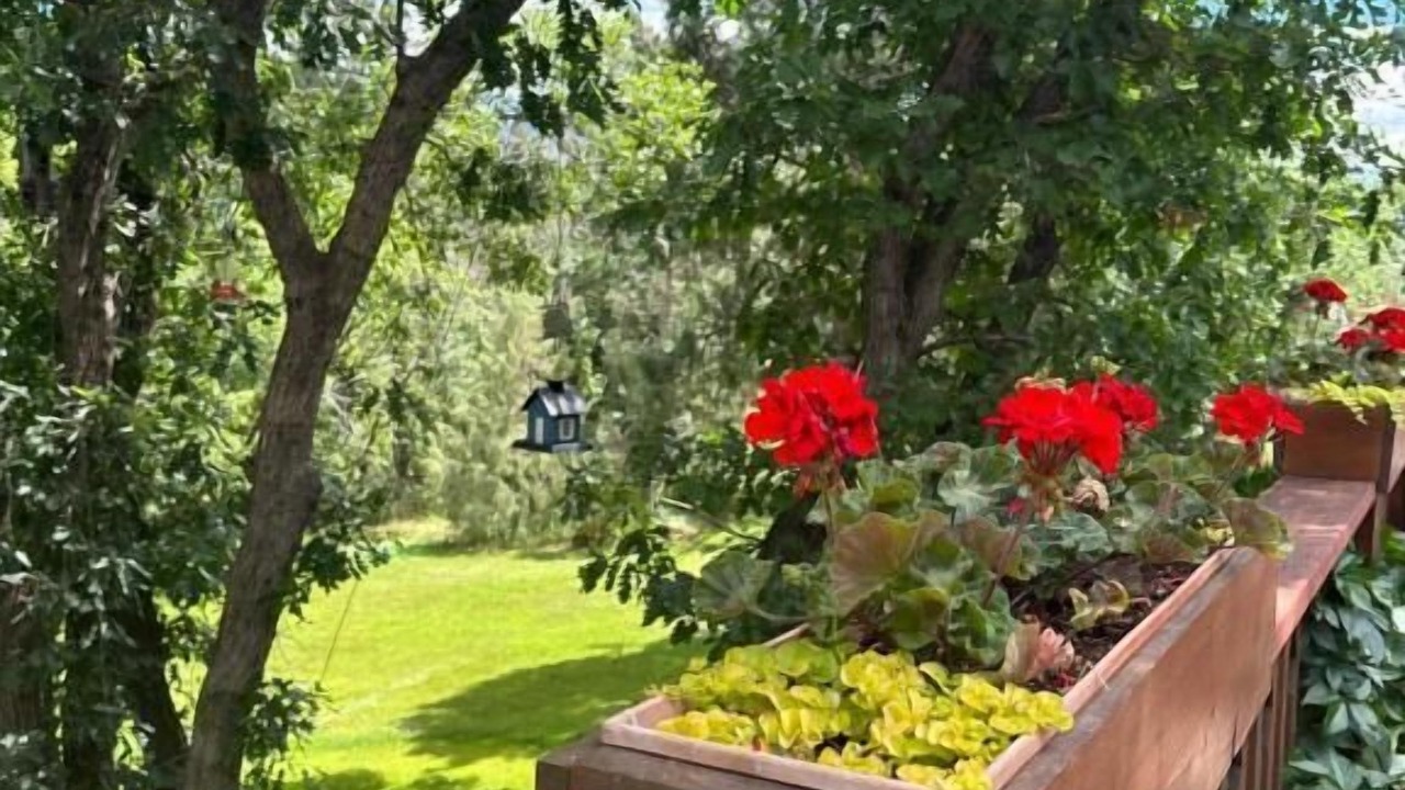 Photo of Patio Balcony in Durango - Purgatory