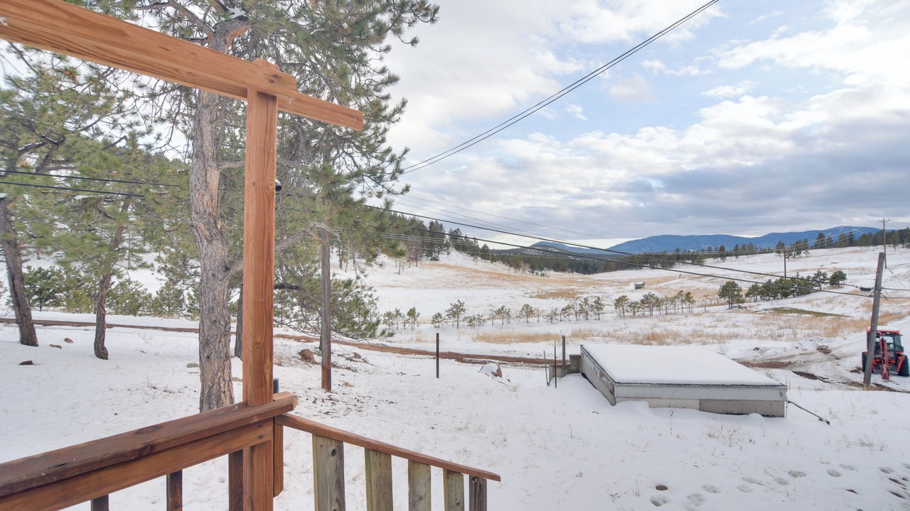 Photo of Others in Conifer