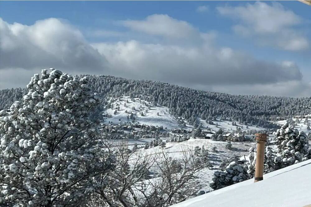 Photo of Others in Golden