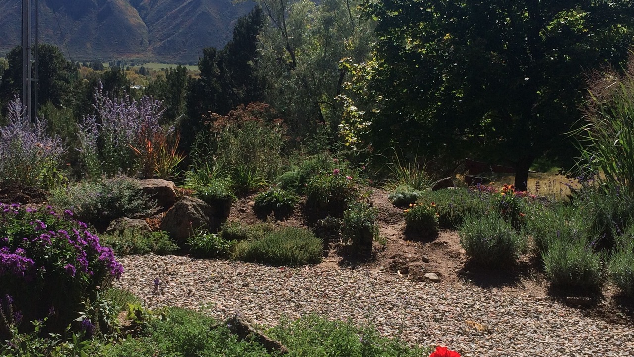 Photo of Outdoor in Basalt