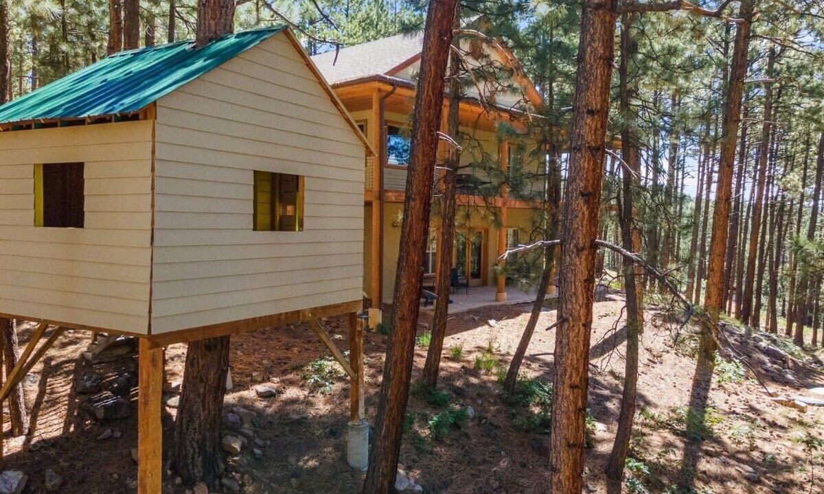 Photo of Outdoor in Forest Lakes