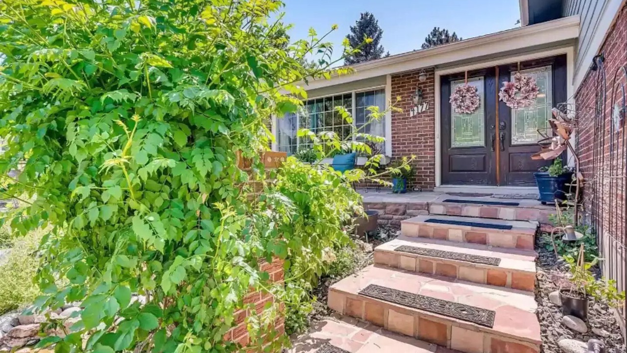 Photo of Outdoor in Hampden South