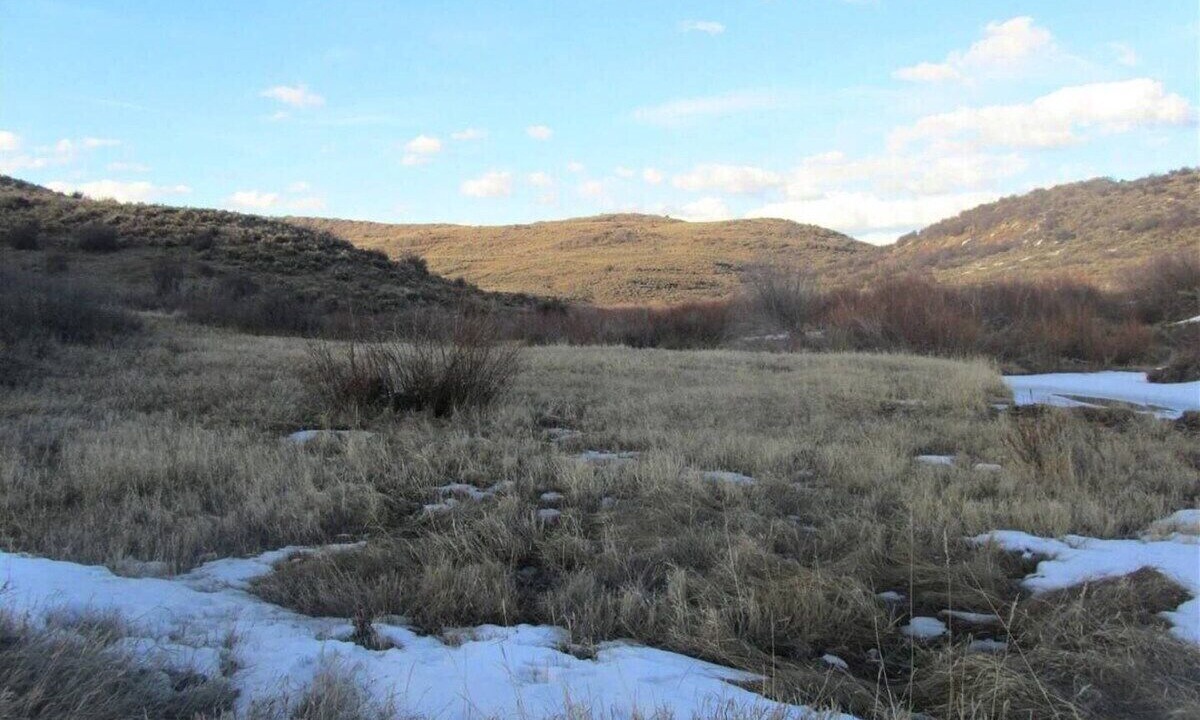 Photo of Others in Collbran