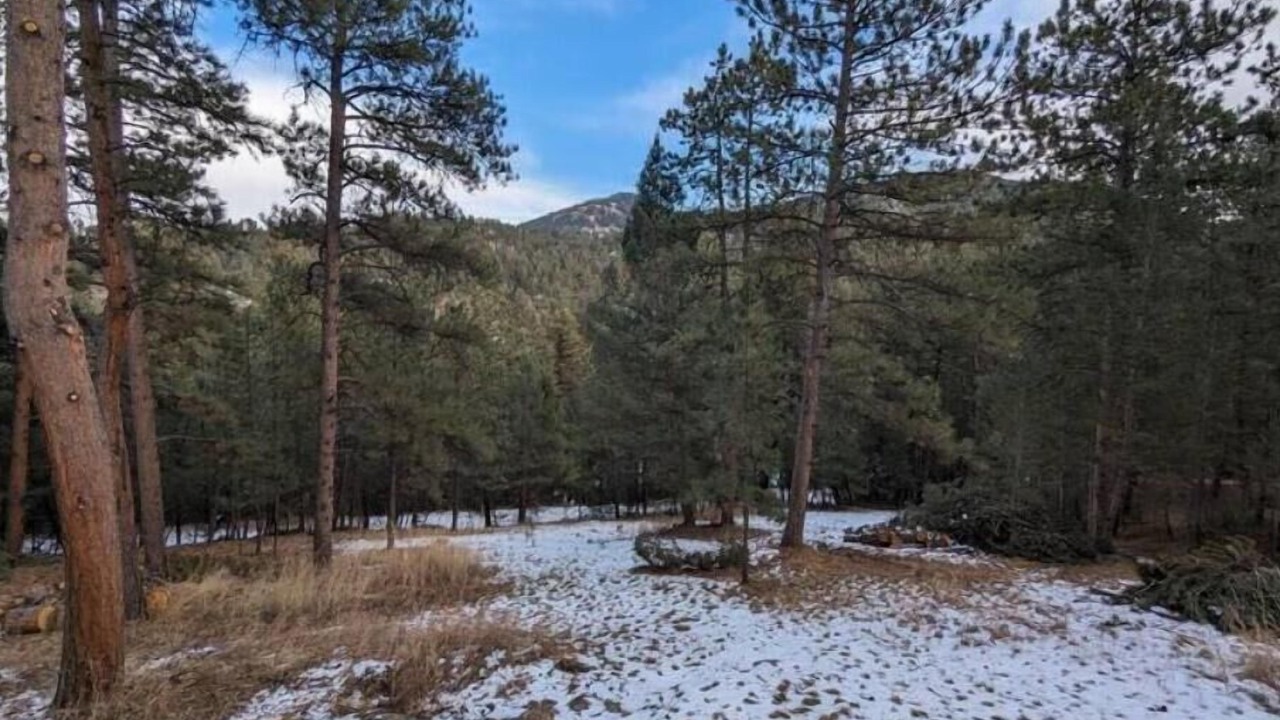 Photo of Outdoor in Evergreen Meadows