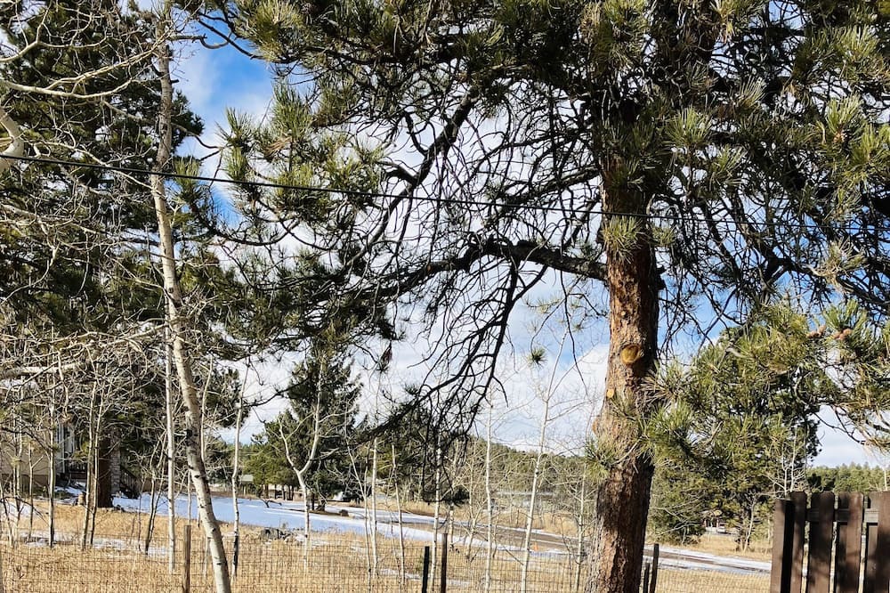 Photo of Outdoor in Aspen Park