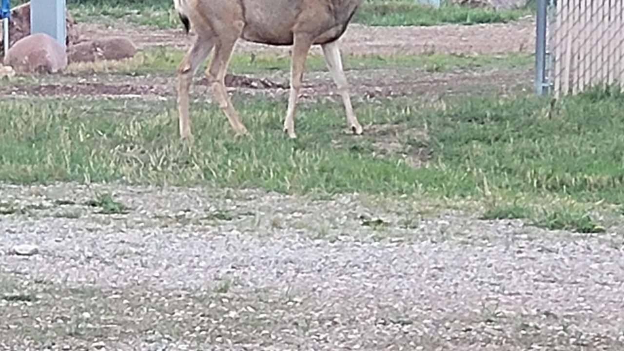 Photo of Outdoor in La Veta