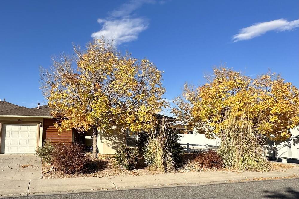 Photo of Outdoor in Pear Park