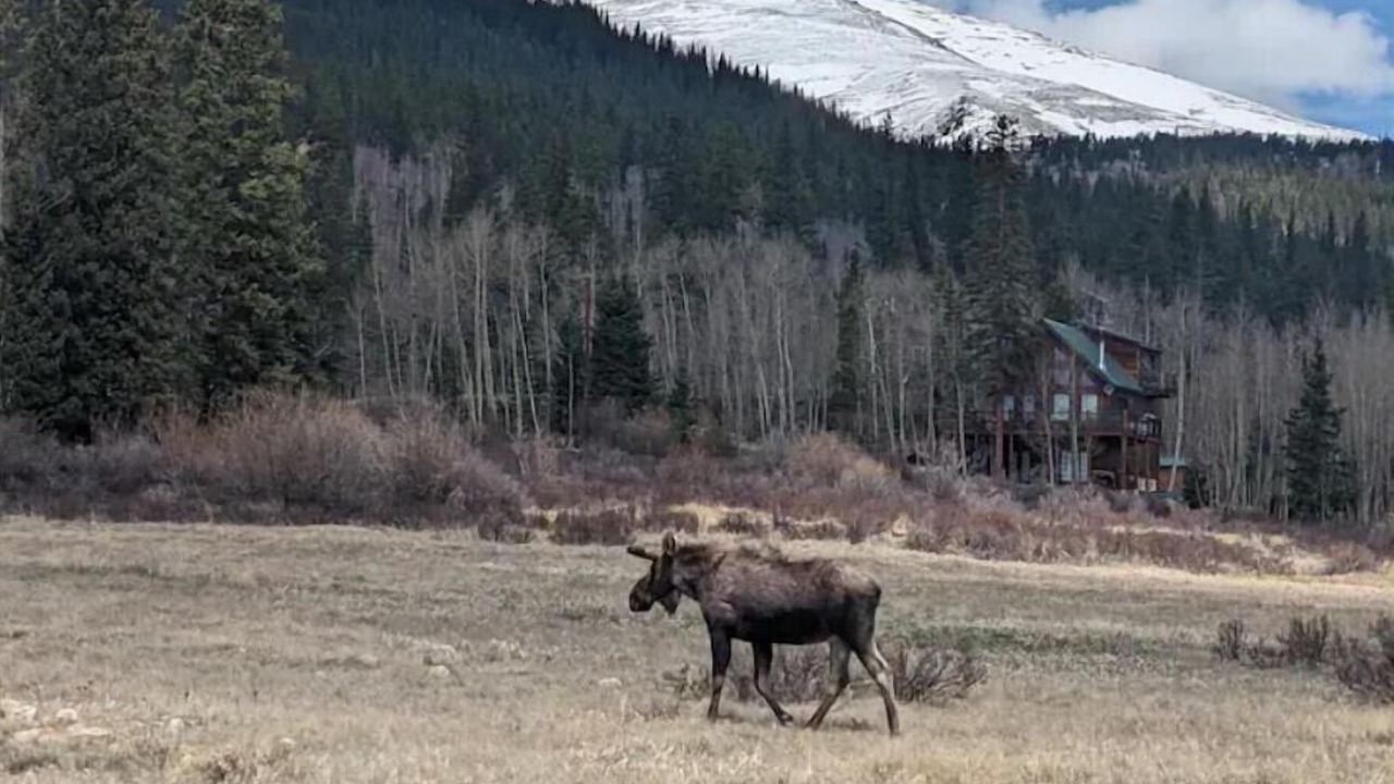Photo of Outdoor in Alma