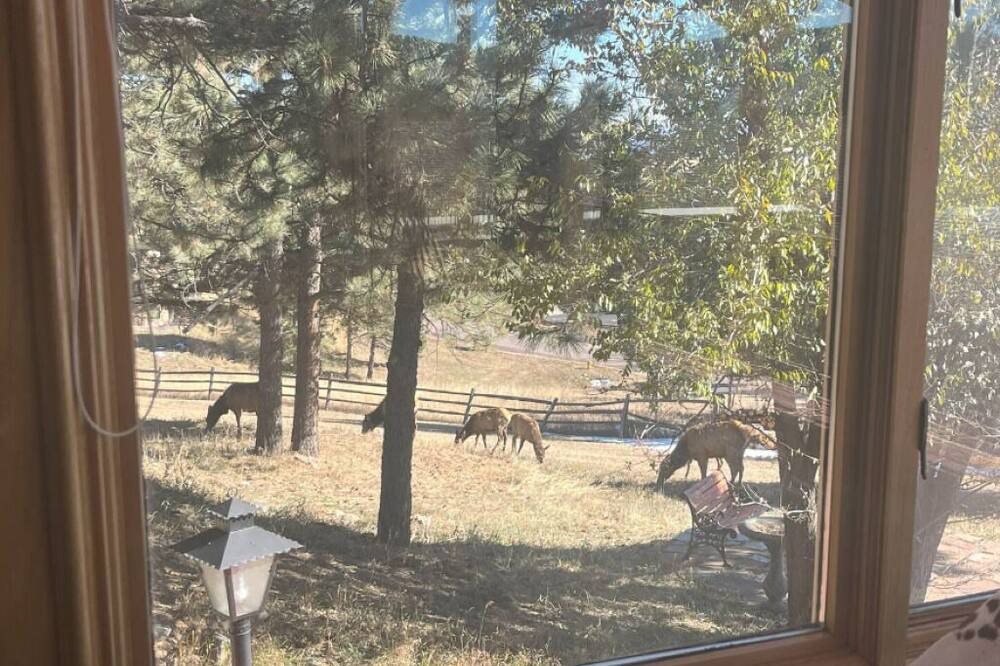 Photo of Others in Golden