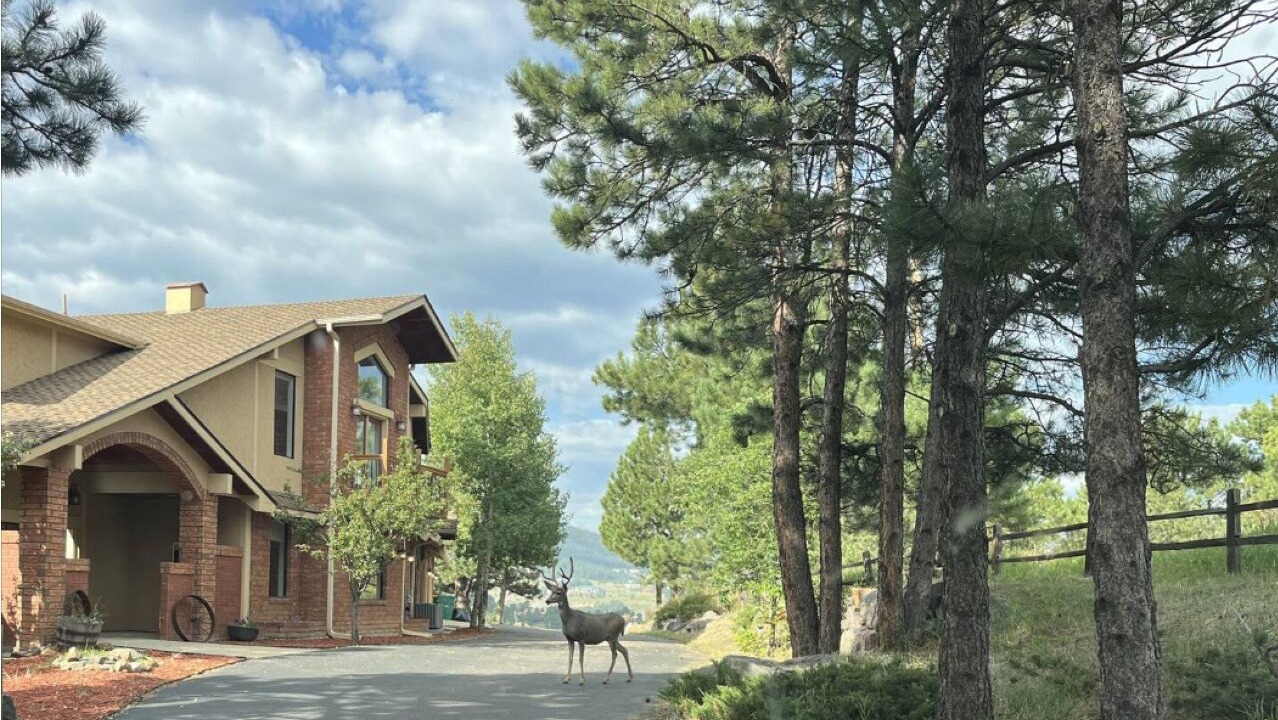 Photo of Outdoor in Golden