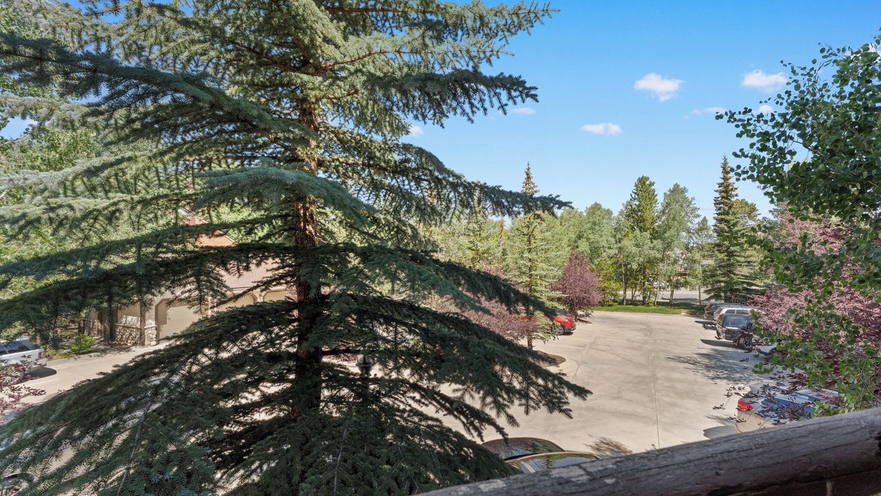 Photo of Outdoor in Warrior's Mark