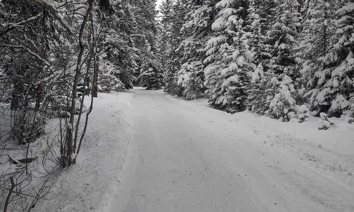 Photo of Others in Evergreen