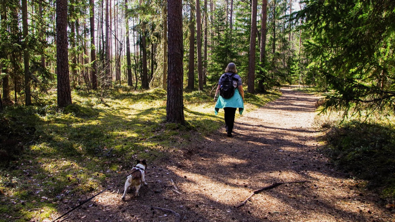 Photo of Outdoor in Baldy Mountain
