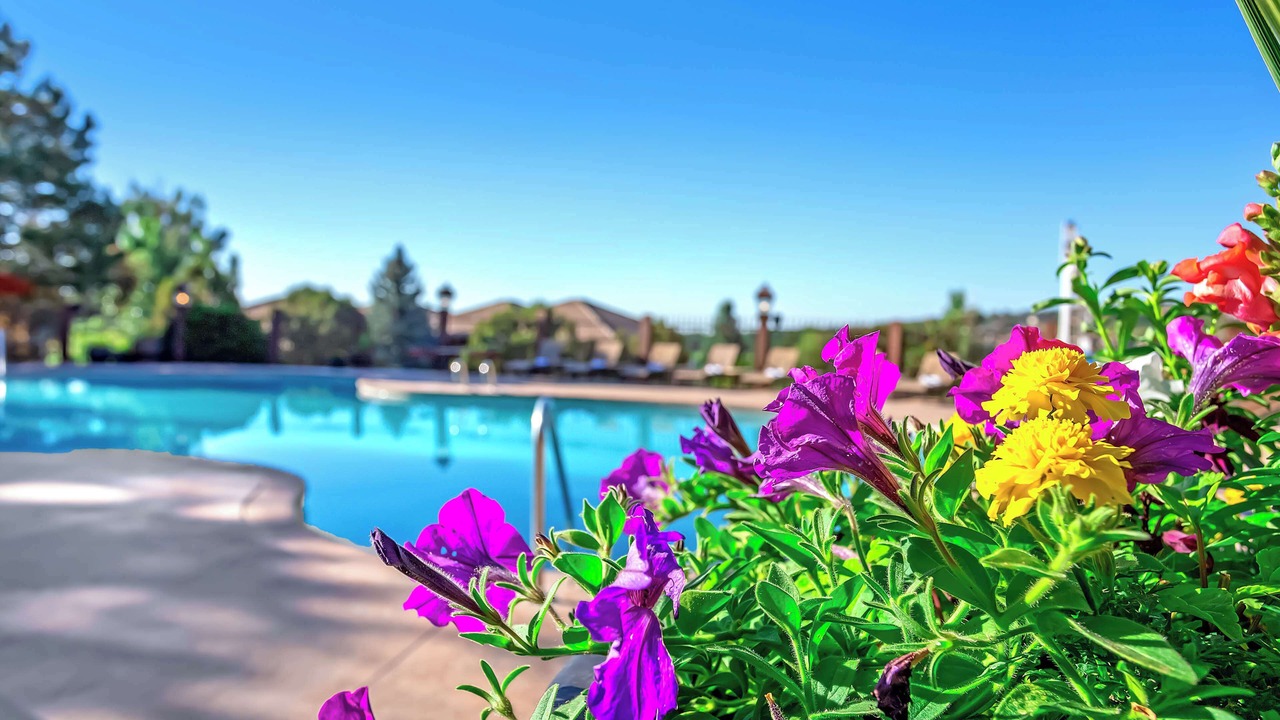Photo of Outdoor in Southwest Colorado Springs