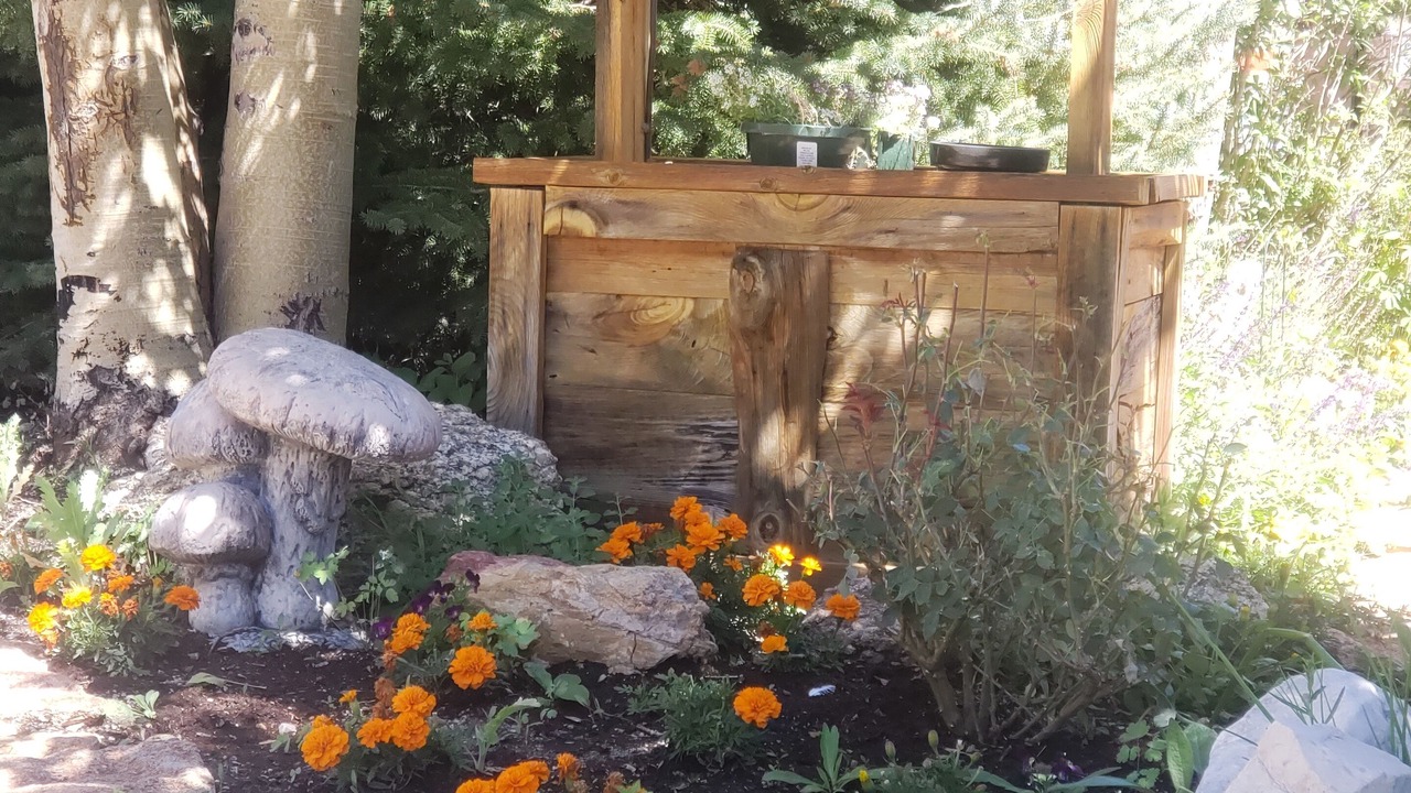 Photo of Outdoor in Salida