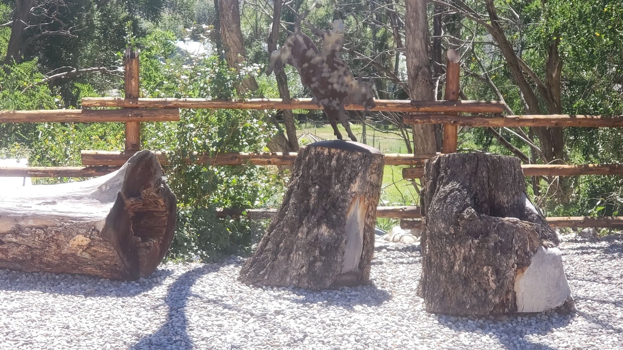 Photo of Outdoor in Salida