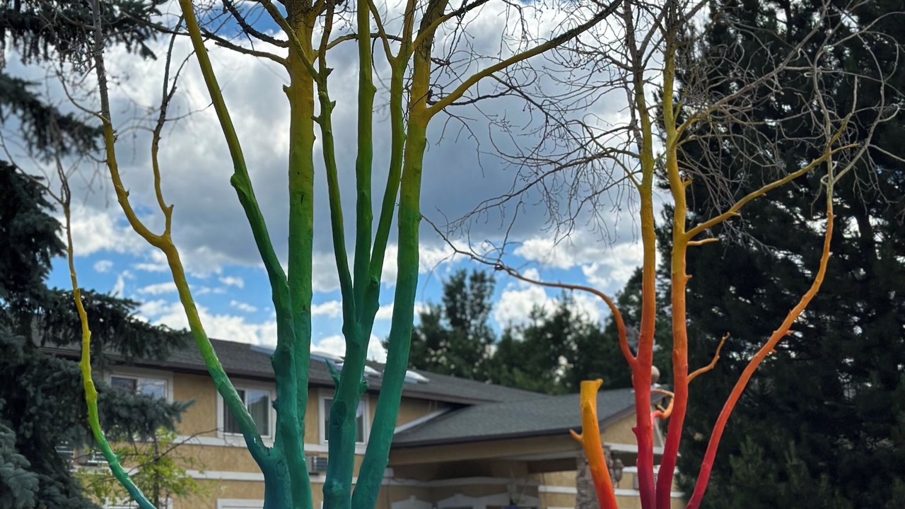 Photo of Outdoor in Salida