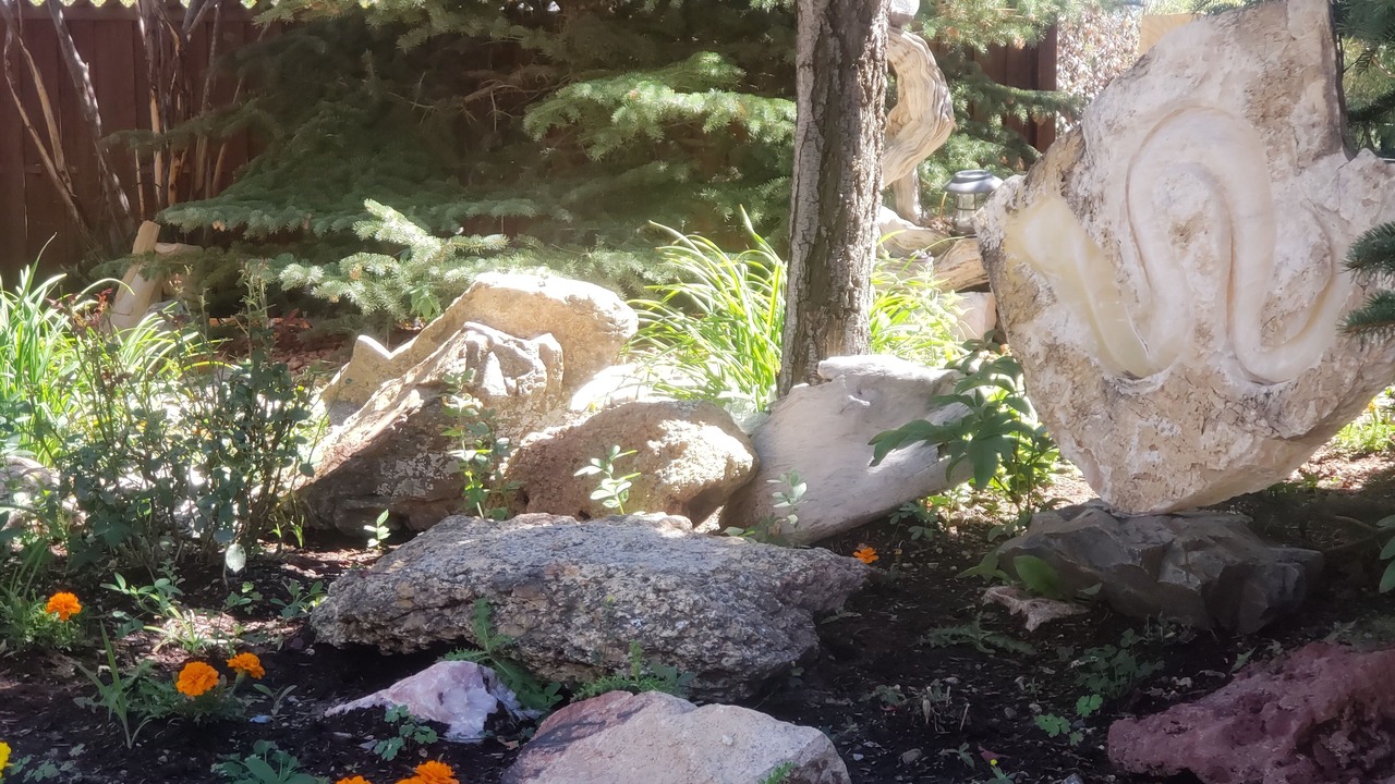 Photo of Outdoor in Salida