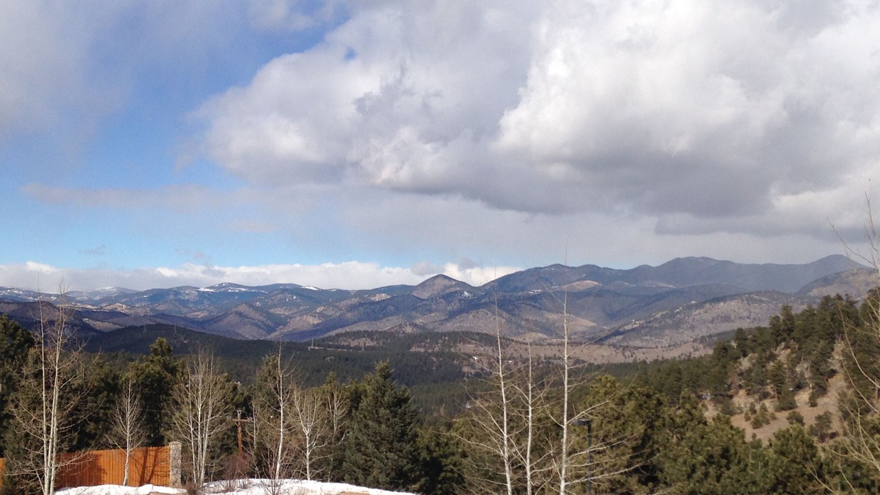 Photo of Others in North Central Evergreen