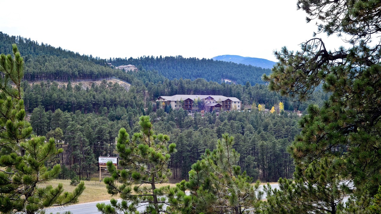 Photo of Outdoor in North Central Evergreen