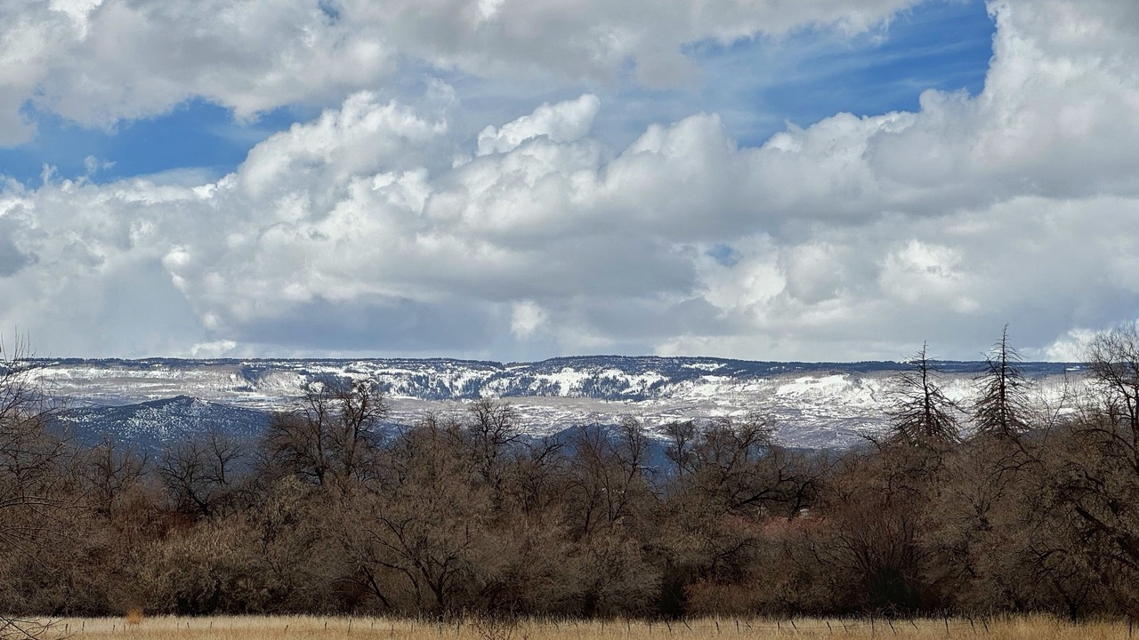 Photo of Others in Cedaredge