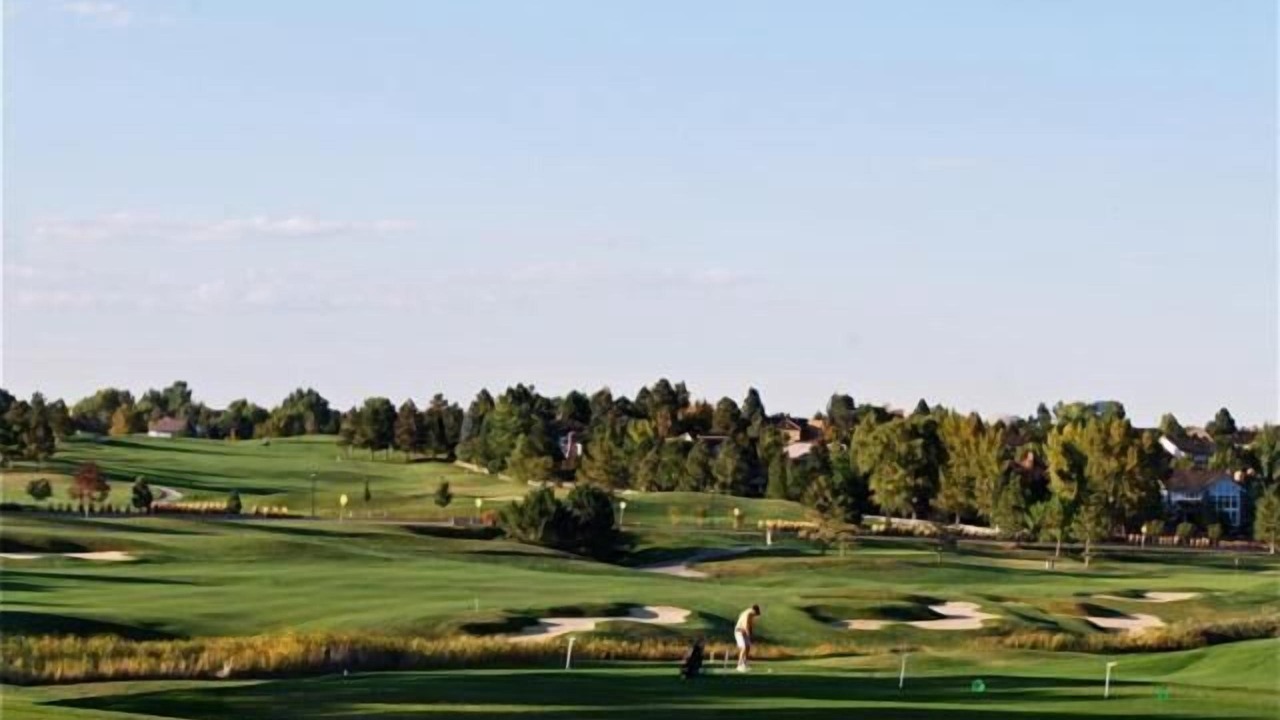 Photo of Others in Lone Tree