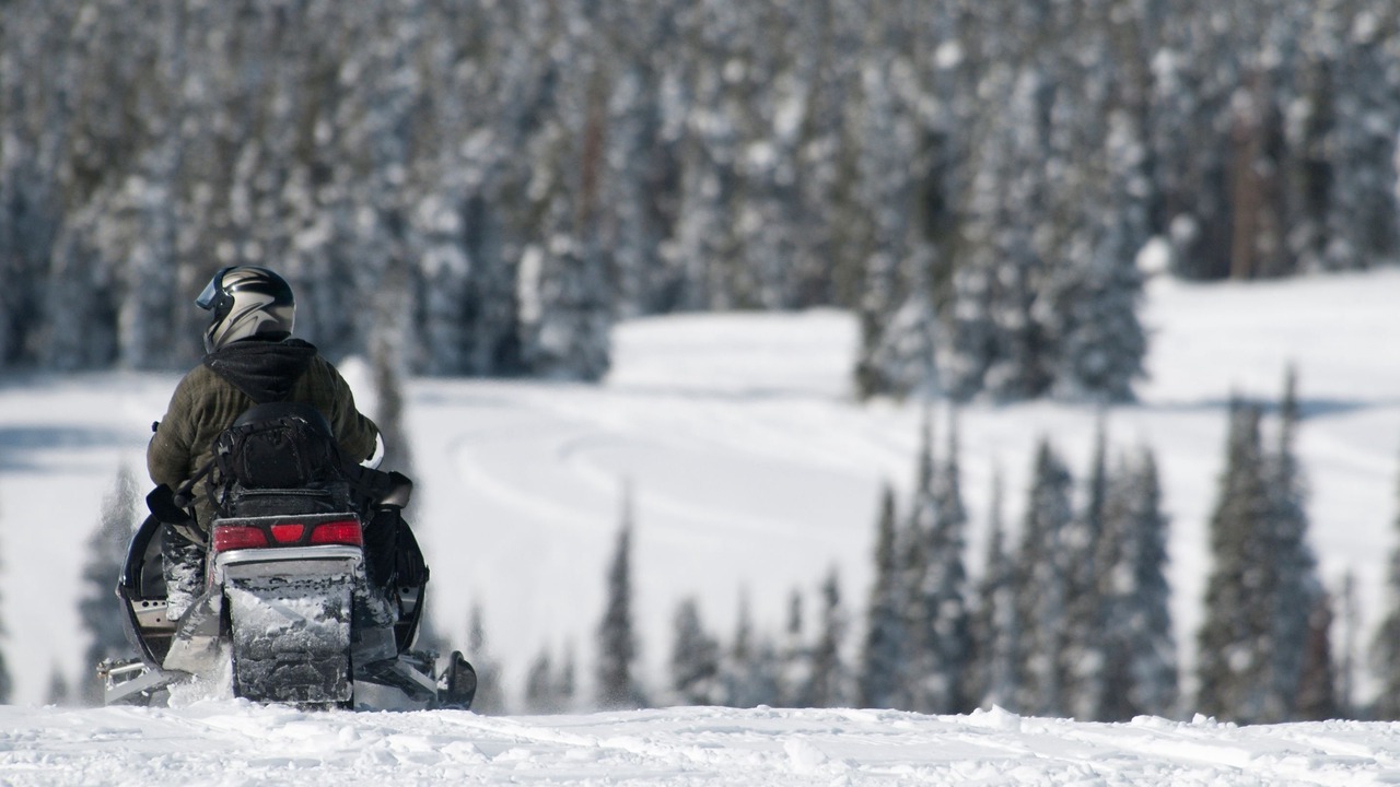 Photo of Others in Steamboat Springs
