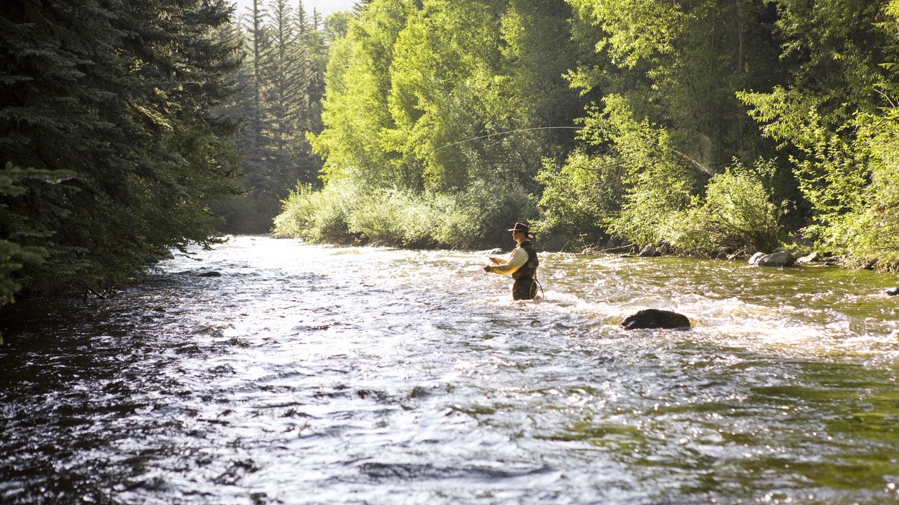 Photo of Others in Aspen