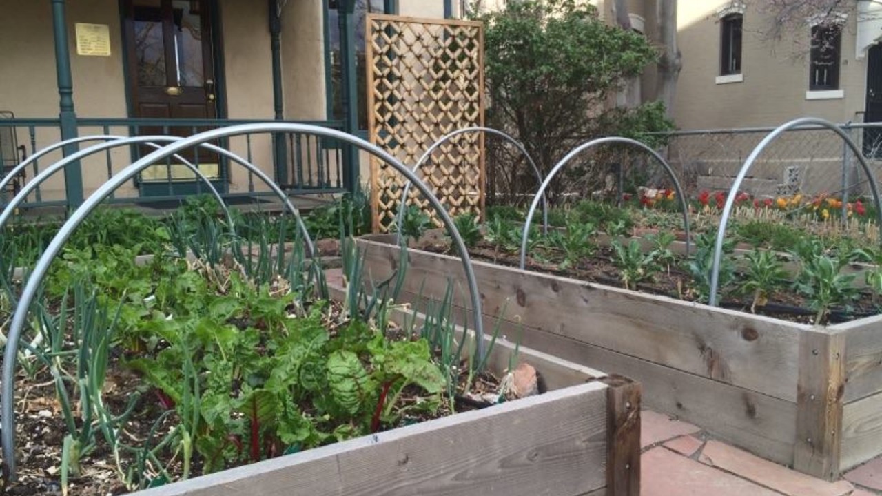 Photo of Outdoor in Five Points